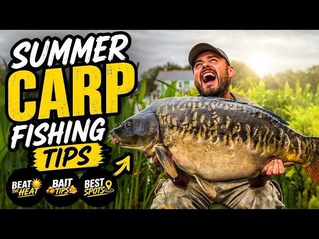 Catch More Carp This Summer | Venues, Rigs & Baits — Everything You Need To Know