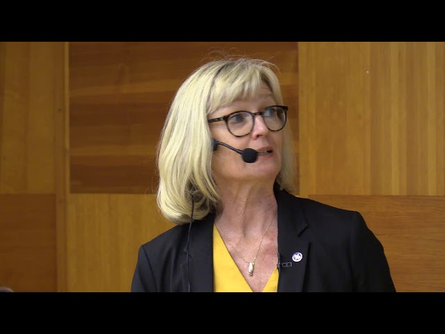 "Ellika Schalling: Tal, språk och kommunikation efter stroke"