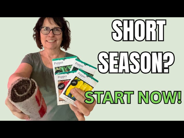 Grow Huge Peppers in Cold Climates - Zones 3-5