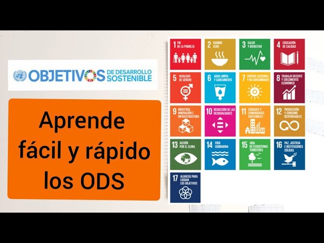 The SDGs. Learn the SDGs easily and quickly. Sustainable Development Goals. SDG gamification.