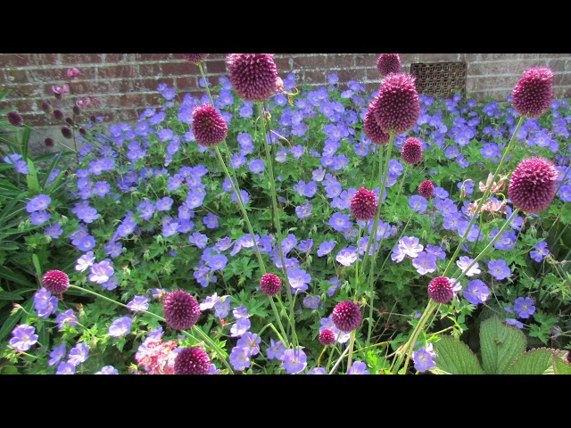 Top tips for designing a new border