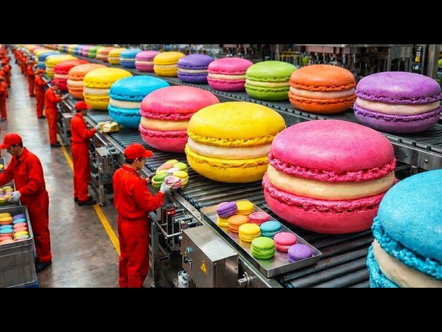Macaron Manufacturing Process | Inside Factory Production of Perfect Macarons