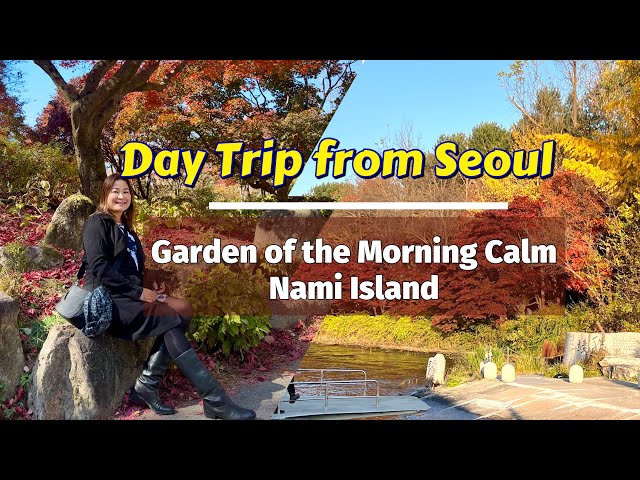 Autumn at the Garden of the Morning Calm and Nami Island | Best Day Trip from Seoul, South Korea