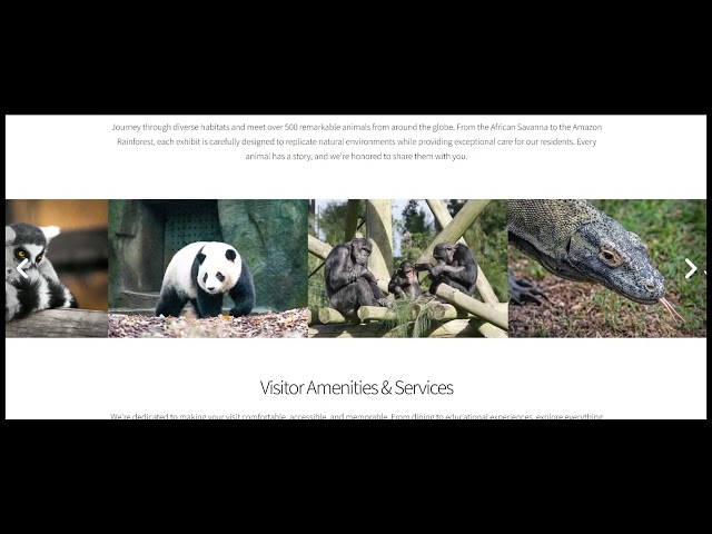 🦁 Built This Modern Zoo Website | Web Development Showcase