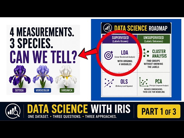 Machine Learning (1/3) — Original Iris Dataset & Classification Problem