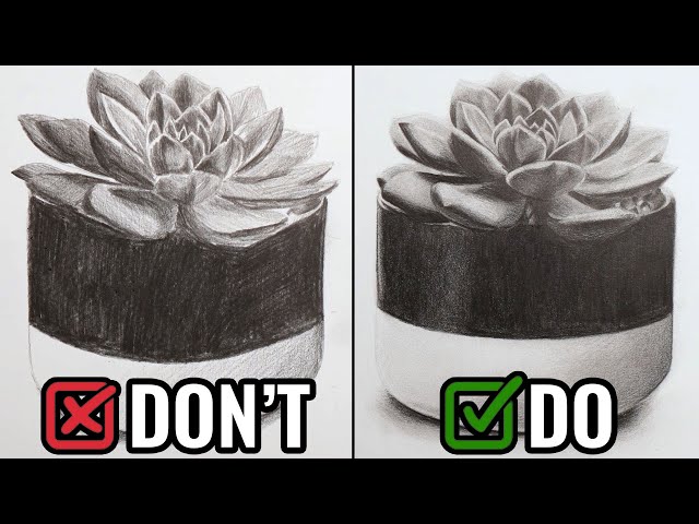 Dos and Donts of Realistic Graphite Pencil Drawings