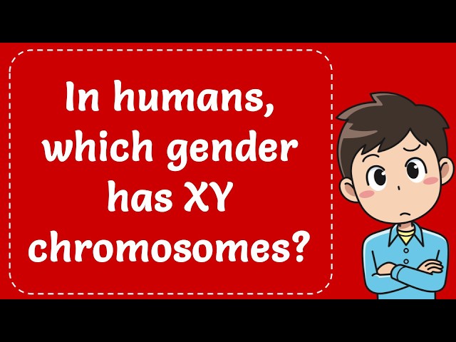 In humans, which gender has XY chromosomes? Explained