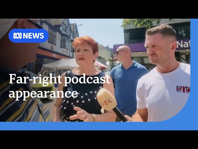 Pauline Hanson appears on podcast with far-right figure Tommy Robinson | ABC NEWS