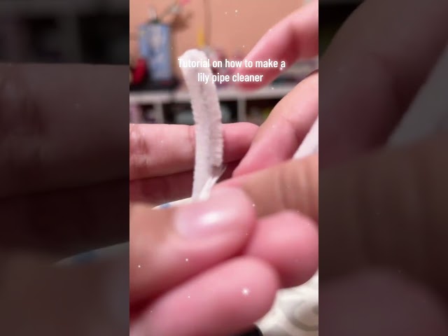 #𝓵𝓲𝓵𝔂 𝓹𝓲𝓹𝓮 𝓬𝓵𝓮𝓪𝓷𝓮𝓻 𝓽𝓾𝓽𝓸𝓻𝓲𝓪𝓵 