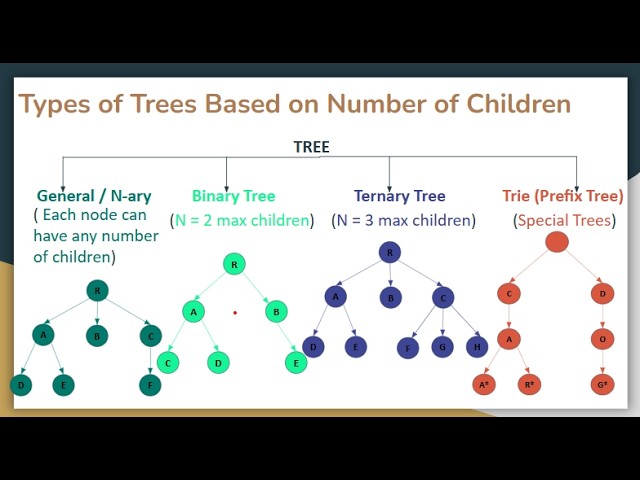 Tree Data Structure (Part 1) | Types, Traversals & Complexity | August 03, 2026