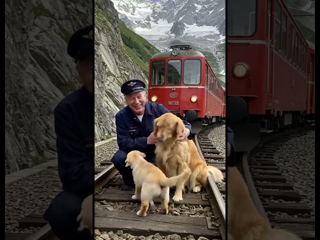 코인 단타 영상 | 단타 보기 전에 알아둘 기본 | 코인 단타 영상 정리 | 코인 단타 영상 추천