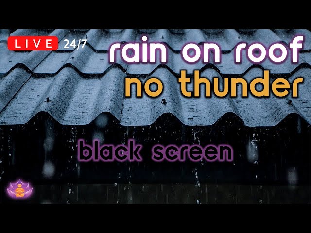 🔴 [LIVE 24/7] Rain on Tin Roof | Rain Ambience No Thunder | Rain Sounds for Sleeping [Black Screen]
