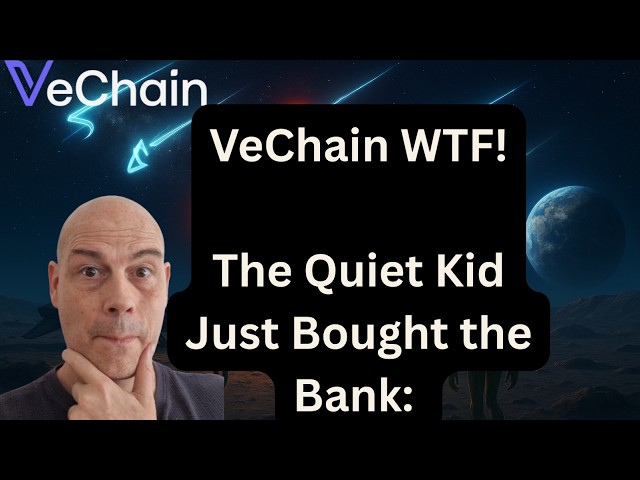 VeChain WTF: The Quiet Kid Just Bought The Bank!