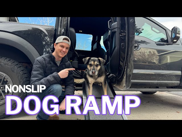 Non-Slip Dog Ramp for Trucks and Cars: Foldable 63" Ramp for Large Dogs