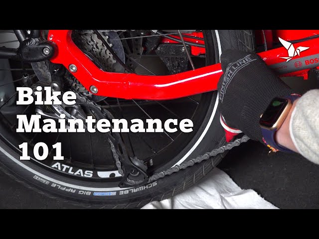 Basic Bike Maintenance: Tips for every bike owner