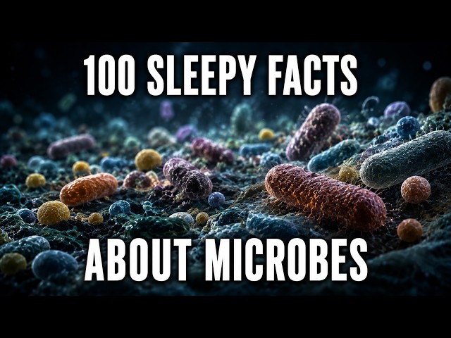 The Quiet Science of the Microbiome — The Hidden World Inside You