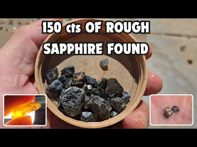 💎150 cts OF ROUGH SAPPHIRE FOUND💎