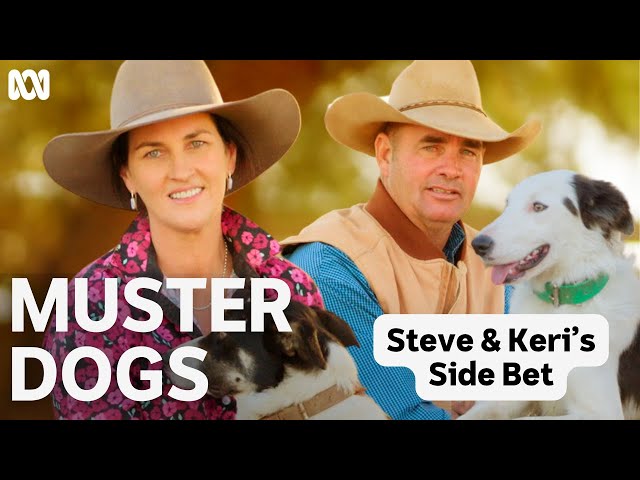 Muster Dogs Bonus Feature | ABC TV + iview