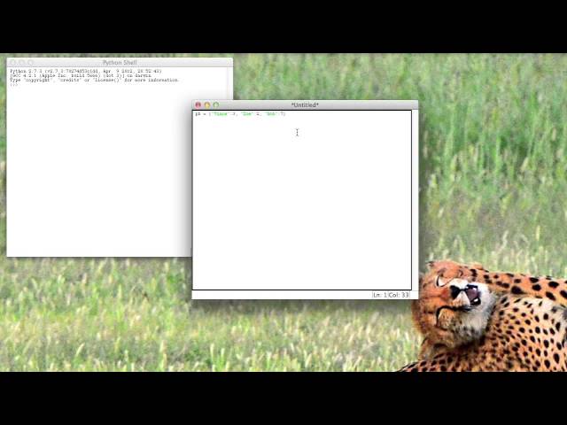 Basic Python: Dictionaries