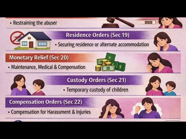 Law for Lawyers: The Legal System Explained