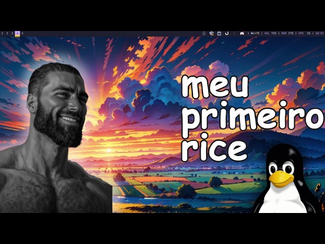 The SECRET of my RICE on Linux (extreme customization)
