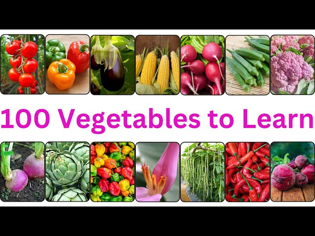 Discover 100 Must Know Vegetable Names