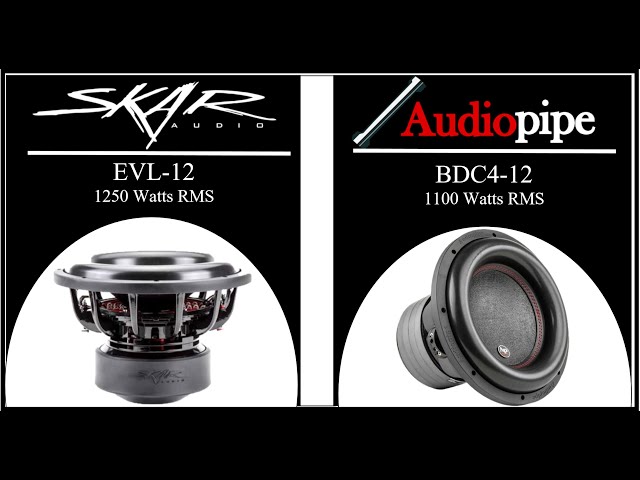 Which Of These Two Subwoofer Should You Buy? Skar Audio EVL-12 Or Audiopipe BDC4-12