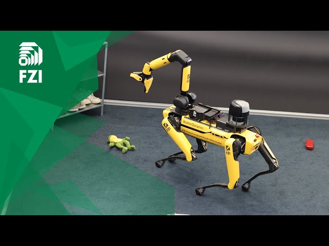 Towards Walking Robots in Domestic Environments | RimA Summer School