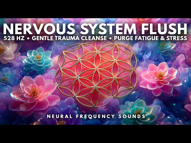 528 Hz 🌿 Nervous System Flush & Deep Trauma Release 🌧️ With Gentle Rain | Meditation Music