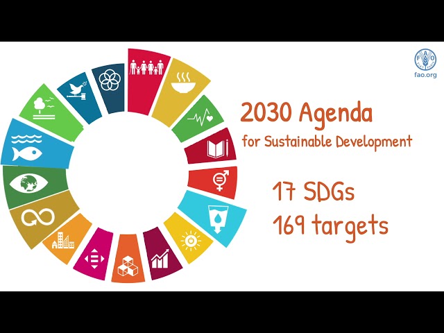 Responsible investment in agriculture and food systems and the Sustainable Development Goals