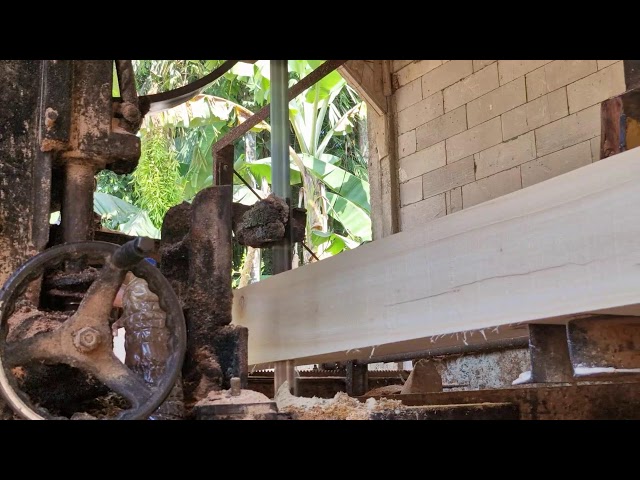 Modern Wood Processing: Advanced Sawmills Produce Perfect Wood Planks