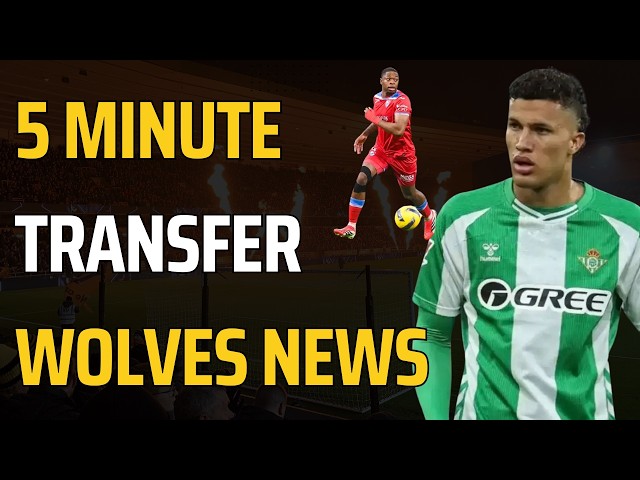Defender & Midfielder Linked | Cesar on Captaincy & Wolves release Fan Engagement WOLVES NEWS
