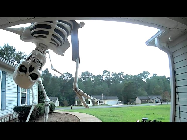 Security Cam Fails Caught on Doorbell & CCTV Cameras 🤣