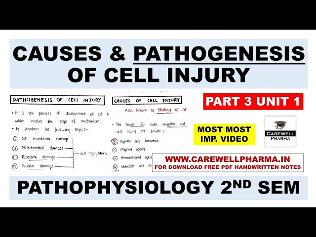 Pathogenesis Of Cell Injury | Causes Of Cell Injury | P2 U1 | Pathophysiology | B Pharm 2nd Semester