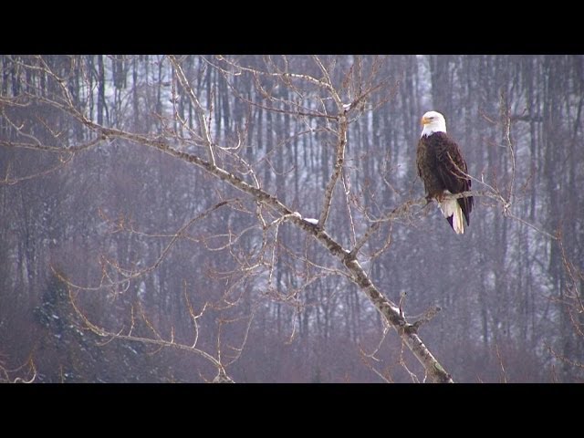 Windham NY "Land in the Sky" 2014 Promo Video