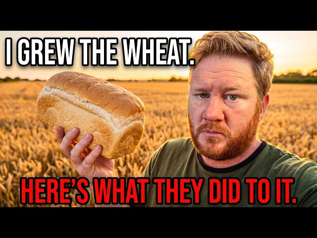 I Grew The Wheat. Here's What They Did To It