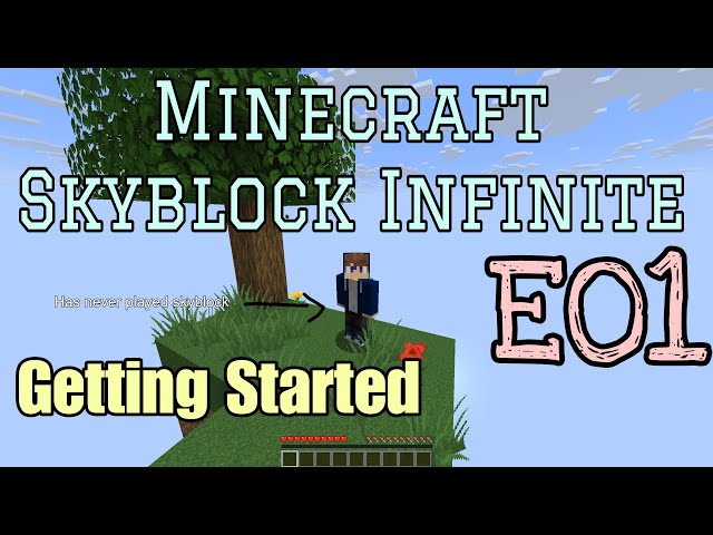 Skyblock Infinite E01 - A new adventure begins! (Minecraft Skyblock Survival)