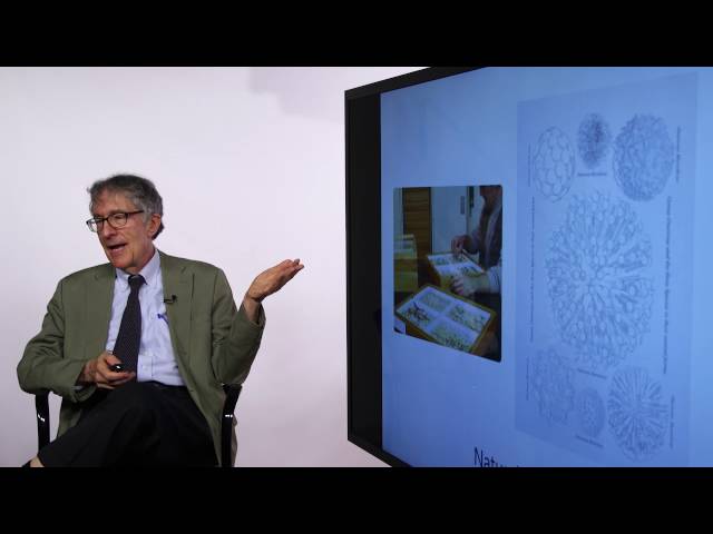 Howard Gardner Discusses Multiple Intelligences - Blackboard BbWorld 2016 HD