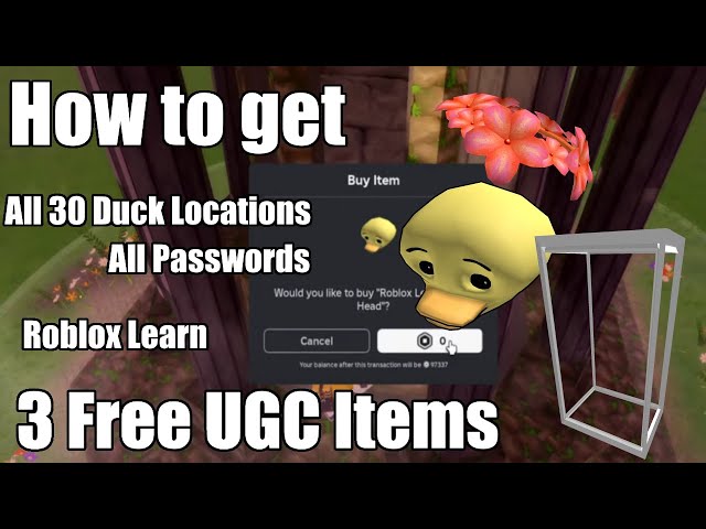 All Passwords and 30 Duck Locations in The Roblox Learn Experience | UNLIMITED STOCK FREE ITEMS
