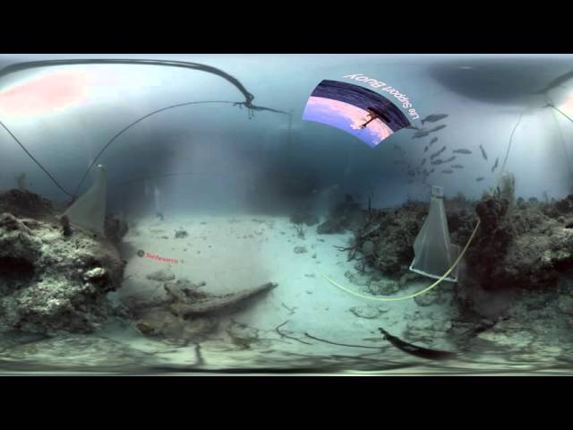 Northeastern MSC: Aquarius Science: Plankton Traps