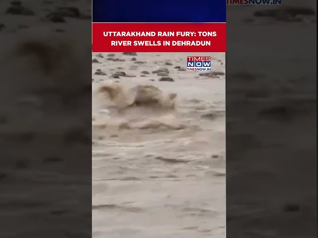 Uttarakhand: Tons River Swells Amid Heavy Rainfall In Dehradun, Watch Shocking Footage #shorts