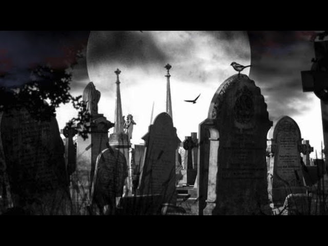 El Jincho - La Macedonia (Rip Kid Peo - Rip Kaydy Cain - Rip Omar Campos)