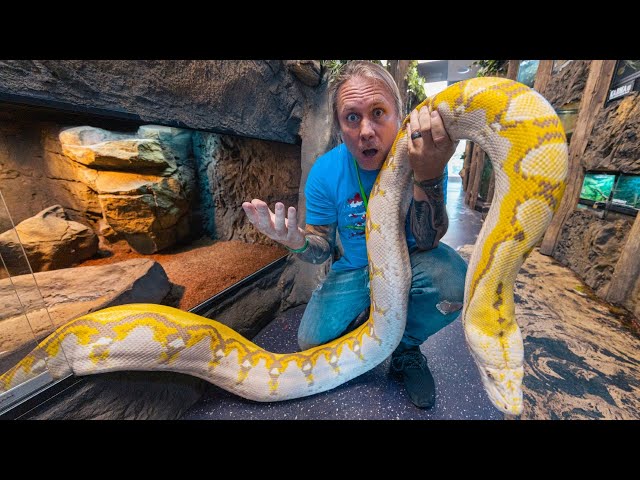 WHAT'S WRONG WITH MY GIANT NEW SNAKE?? SHE WILL NOT EAT!! | BRIAN BARCZYK
