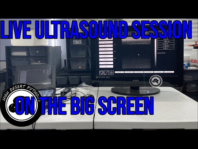 Live Ultrasound on the big screen | High Desert Pythons