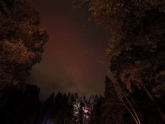 Aurora at The Enchanted Forest 11_10_24