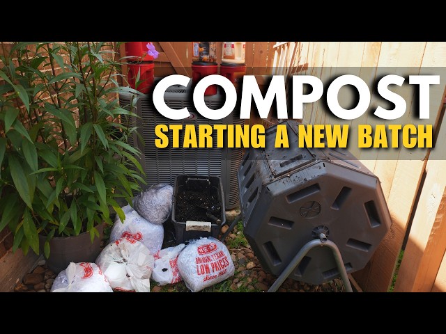 Homemade Compost: Turning Kitchen Waste to Gold