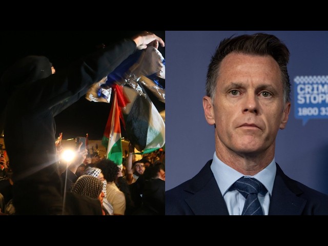 Chris Minns’ pro-Palestine protest regret shows he has been ‘pushed around’ by own caucus