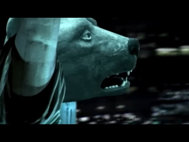 Teddybears - Punkrocker (feat. Iggy Pop) [Official Video]