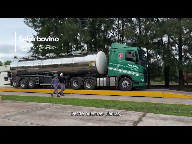 Qué es el Rendering y cómo se producen los alimentos para mascotas | Grupo Insuga