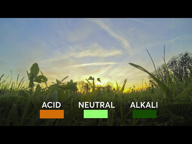 Unearth Soil Science - Soil chemistry